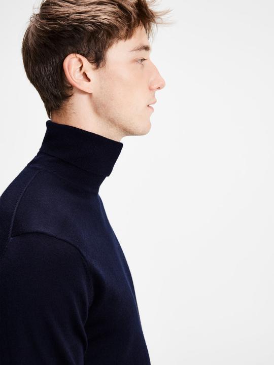 Actual product image Jack & Jones Rollkragenpullover (XL)