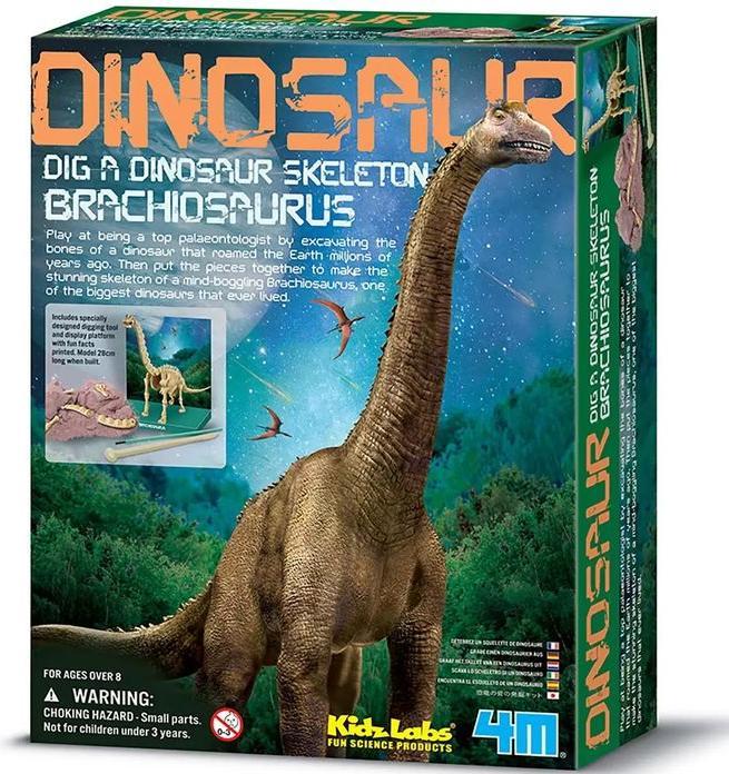 Actual product image 4M Dinosaur Excavation Brachiosaurus