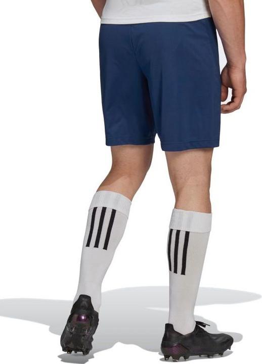 Actual product image adidas Entrada 22 Shorts Men (M)