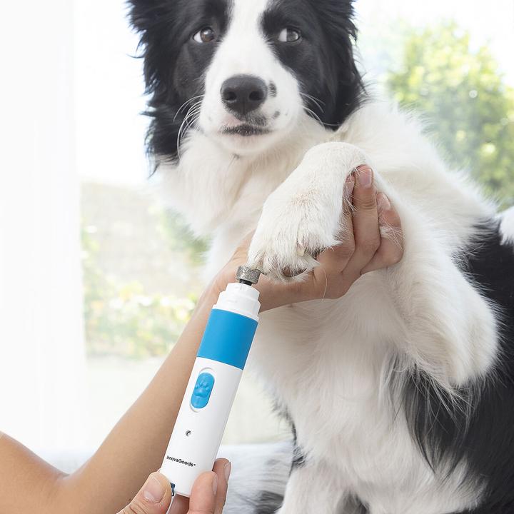 Image du produit InnovaGoods Lime à ongles pour animaux de compagnie Pawy (Chien)