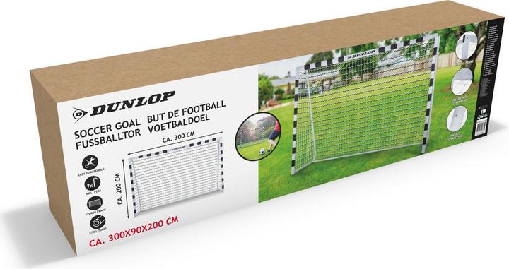 Dunlop Soccer goal