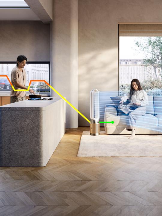 Produktbild Dyson Purifier Cool PC2 De-NOx (32 m²)