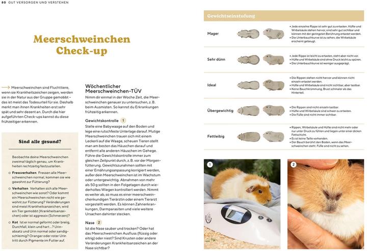 Actual product image Kosmos Meerschweinchen (German, Viola Schillinger, 2023)