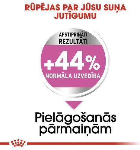 Produktbild Royal Canin for stressful dogs Mini Relax Care. Weight - 1kg. (Adult, 1 Stk., 1000 g)