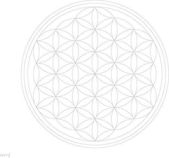Actual product image Carry Drinking bottle 'Flower Of Life (0.70 l)