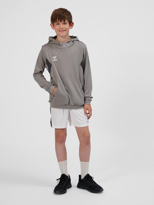 Immagine prodotto hummel Hmlauthentic Pl Hoodie Kids (164)