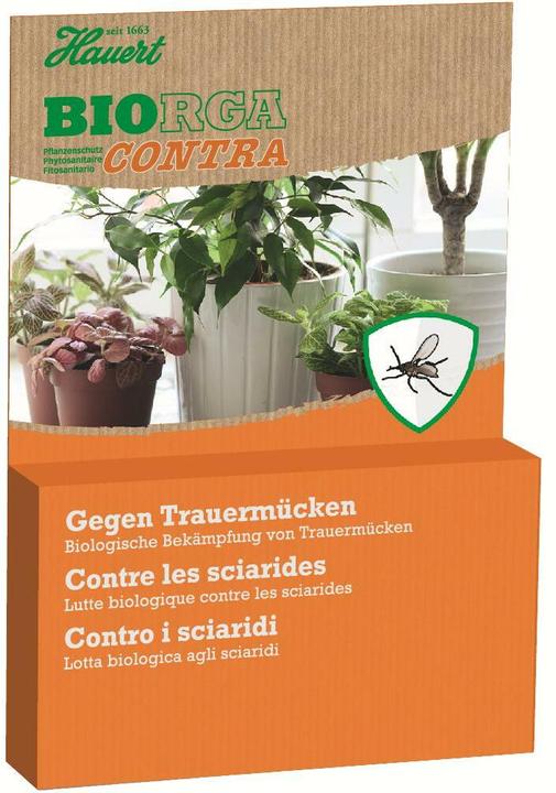 Hauert fungus gnats stop (Fungus gnats)