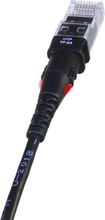 PatchSee Patchkabel U/UTP Cat 6a 9,7m (U/UTP, CAT6a, 9.70 m)