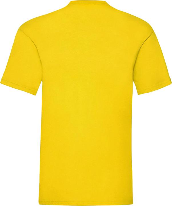 Fruit of the Loom Valueweight TShirt (L)
