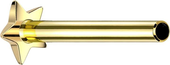Image du produit Star Piercing Micro Threadless Tige de Labret Étoile dorée (Titane G23, sans laiton)