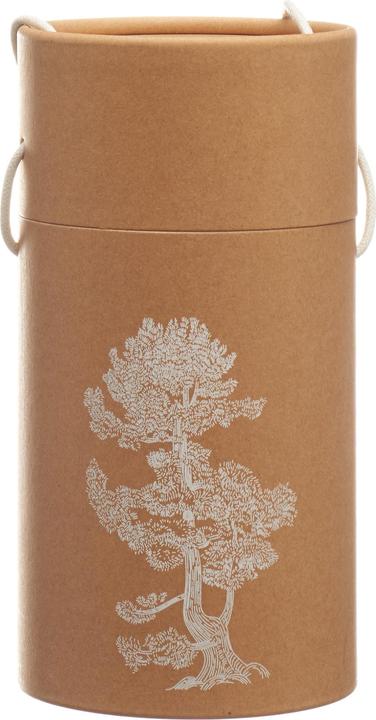Immagine prodotto Nature's Design Pinus Cembra Duftholz (10 ml)