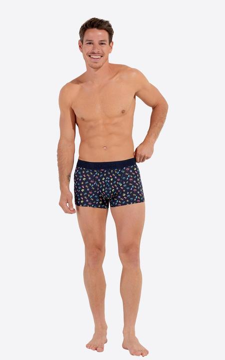 Immagine prodotto HOM Retro Boxer California HO1 (M, Confezione singola)