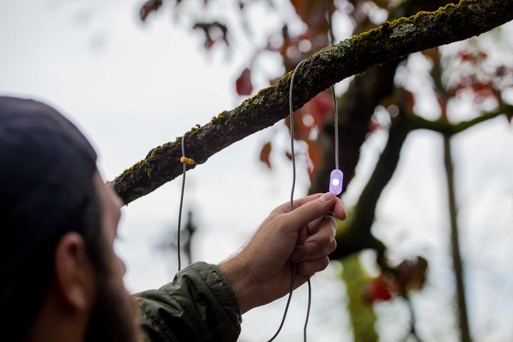 Immagine prodotto Biolite Solar String 44, Color
