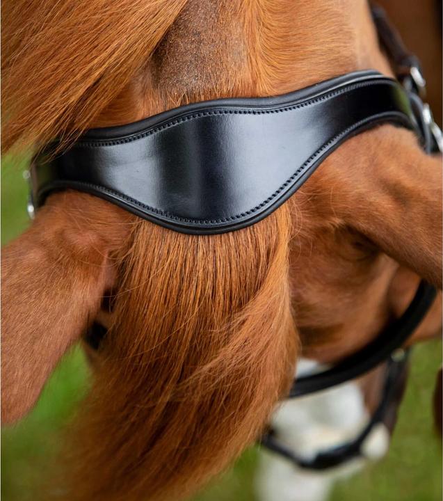 Produktbild Premier Equine Glorioso Zaum