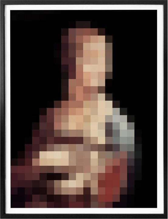 Image du produit Trenddeko Pixelart - da Vinci - La dame à l'hermine (120 x 150 cm)