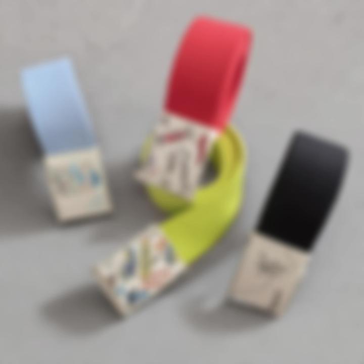 Only-Bags.Store 1 PC Jugendgürtel, verdicktes buntes Segeltuch, kreativer Strassengürtel, austauschbare Schnalle