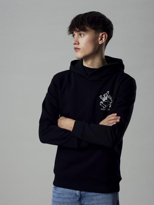 Immagine prodotto Lmtd Loose Fit Hoodie (146)