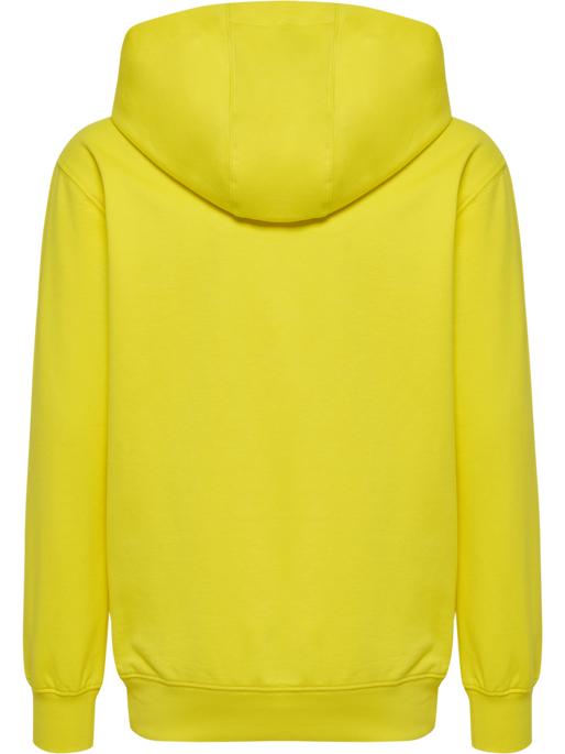 Actual product image hummel HMLGO 2.0 HOODIE KIDS (152)
