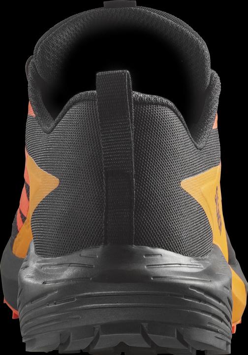 Image du produit Salomon Sense Ride 5 GTX Chaussures de trail running pour hommes (45)