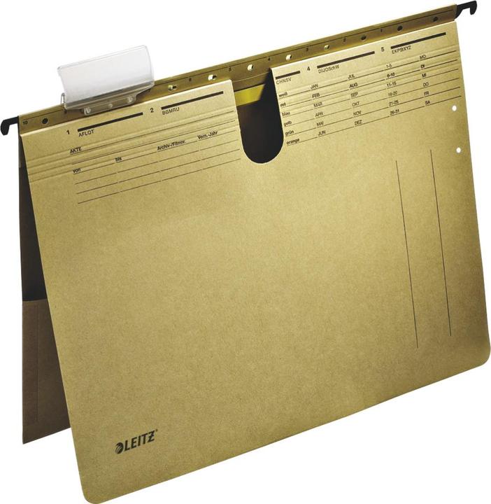 Leitz ALPHA Hängehefter, A4, kaufmännische Heftung, natron (A4, 1 x)