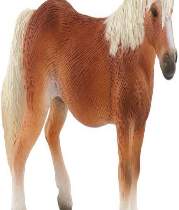 Actual product image Bullyland Haflinger Mare