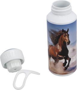 Wild Horse