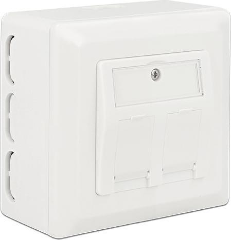 Productafbeelding Delock Achterkast - Installatiekast Netwerkinterface (Netwerk accessoires)