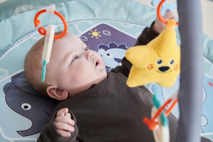 Produktbild Scandinavian Baby Products Zoo Activity Gym