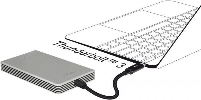 Image du produit Delock Thunderbolt-3 (480 Go)