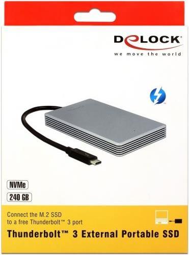Image du produit Delock Thunderbolt-3 (480 Go)