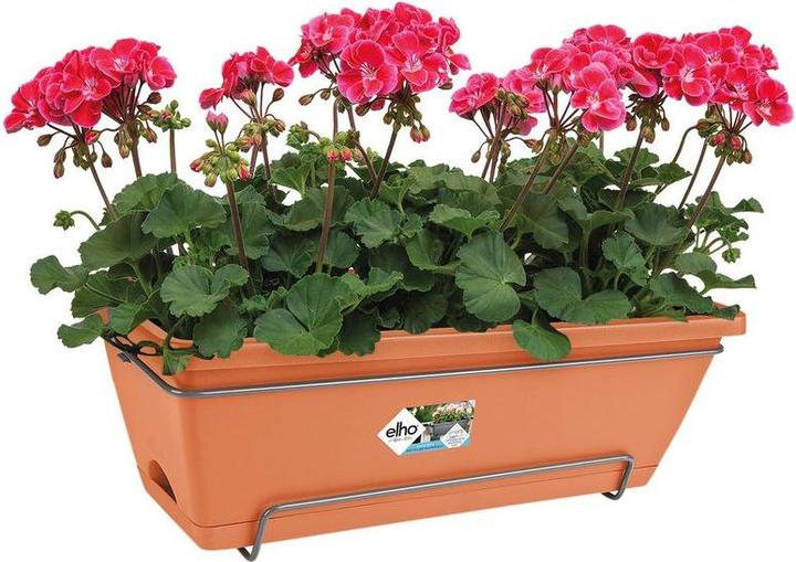 Actual product image Elho Barcelona Allin (27.50 cm)