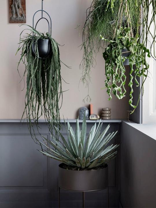 Actual product image Ferm Living Plant Box