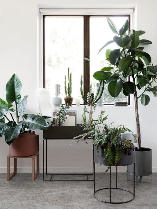 Actual product image Ferm Living Plant Box
