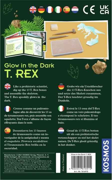 Actual product image Kosmos Glow in the Dark T-Rex Bikken