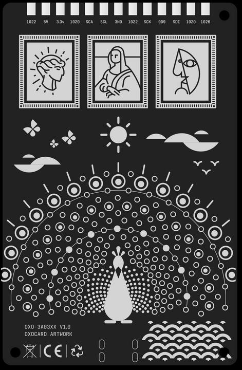 Immagine prodotto Oxon Scheda sviluppatore Oxocard mini Artwork