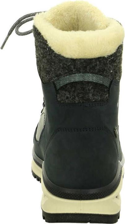 Image du produit Lowa Renegade Evo GTX (43.5)