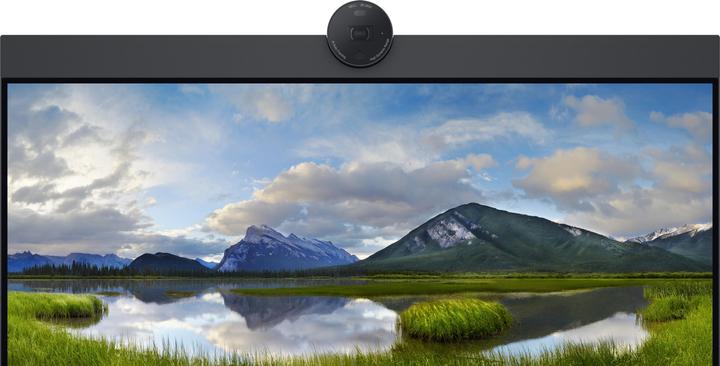 Actual product image Dell P2424HEB (1920 x 1080 pixels, 23.80")