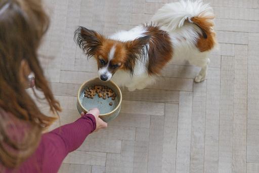 Immagine prodotto Designed by Lotte Ciotola per cani Jace (0.45 l)