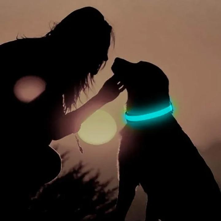 Actual product image Cbx Rechargeable LED dog collar size L - 46-50cm (L, Dog)