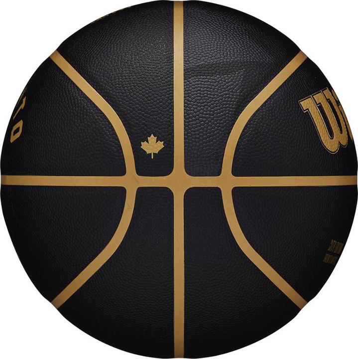 Immagine prodotto Wilson Squadra Nba Città Da Collezione Basket Toronto Raptors (7)