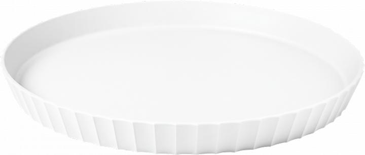 Arctic White