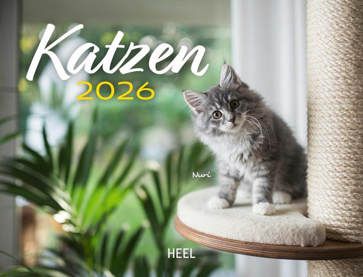 Produktbild Kalender Katzen 2026 Eintragkalender (Harter Einband, Deutsch)