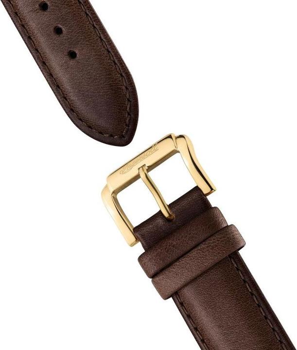 Actual product image Ingersoll 1892 The Protagonist (Analogue wristwatch, 46 mm)