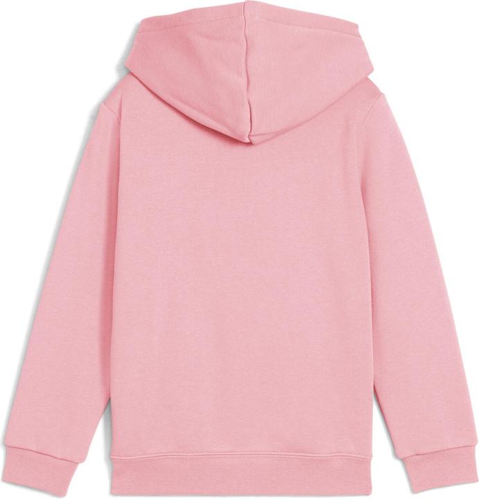 Actual product image Puma ESS No. 1 Logo Hoodie FL PS (110)