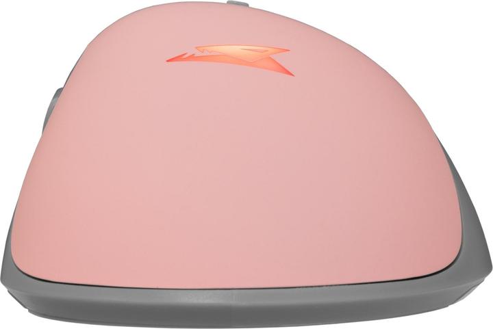 Actual product image Baracuda BGM-084 Lobster Pink