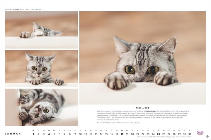 Produktbild Whiskas Katzenkalender 2026 (45 x 30 cm, Harter Einband, Deutsch)