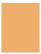 Actual product image Bioderma Photoderm COVER Touch (Golden)