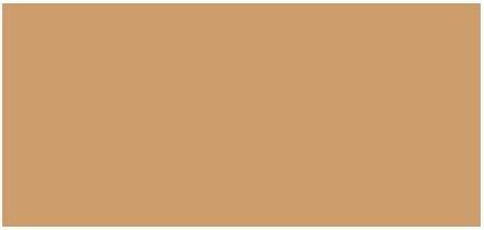 Image du produit Inika Organic Natural Light Care Make-Up Serum Foundation 25 Ml