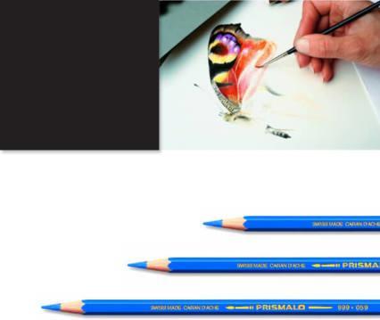 Image du produit Caran d'Ache Prismalo Aquarelle (Noir, 1 x)