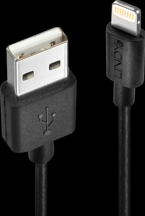 Actual product image Lindy Lightning – USB A (0.50 m, USB 2.0)